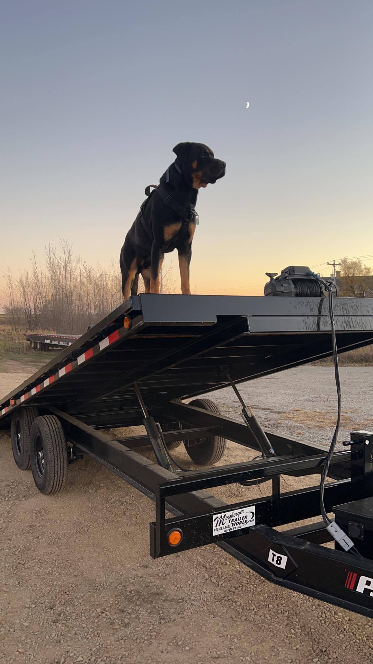 22ft Deckover Tilt Trailer view 2 - side view